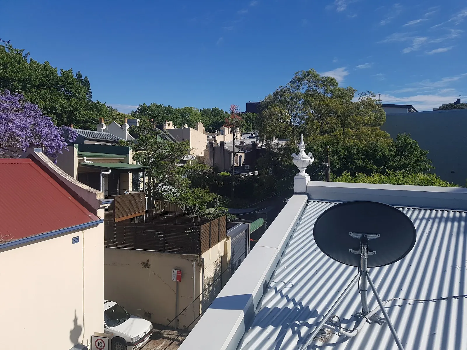 Metal roofing and a satellite dish beneath trees in Surry Hills