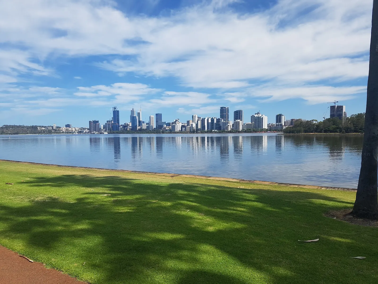 The Perth skyline across the Swan River from a grassy bank