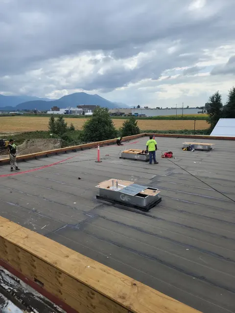 A dark flat roof beneath an overcast sky.