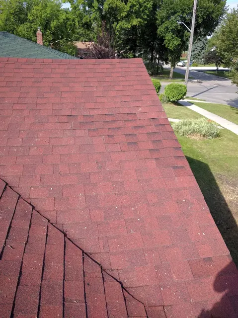 A red shingle roof overlooking a residential yard.